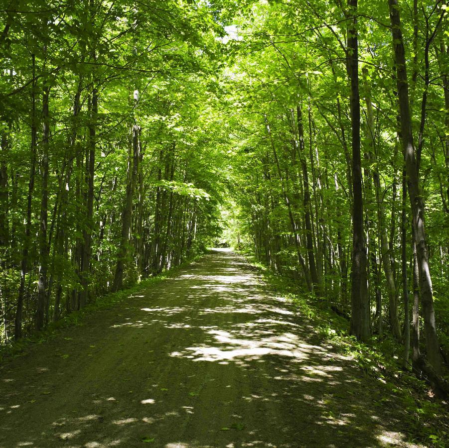 Forks Of The Credit Inn Orangeville Esterno foto